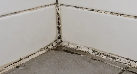 Waterlekkages: klein probleem, grote ergernis